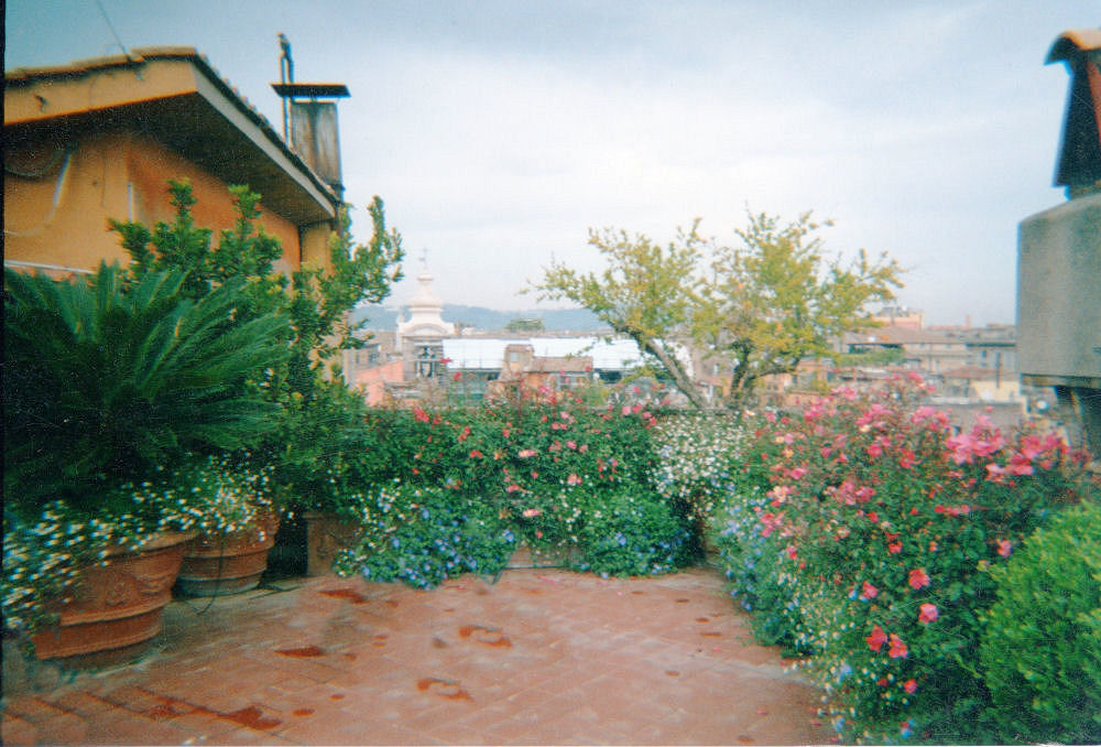 Veduta del giardino